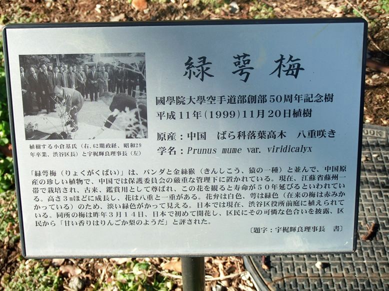 e0129656_22542644.jpg