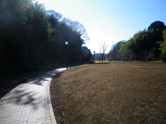 c0186264_22491021.jpg