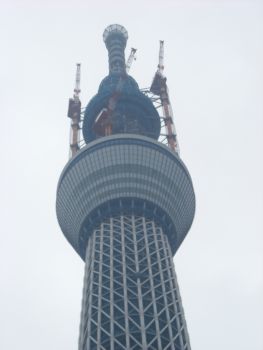 c0052470_838115.jpg