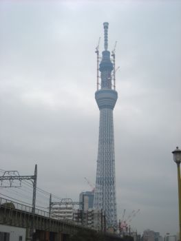 c0052470_8384831.jpg