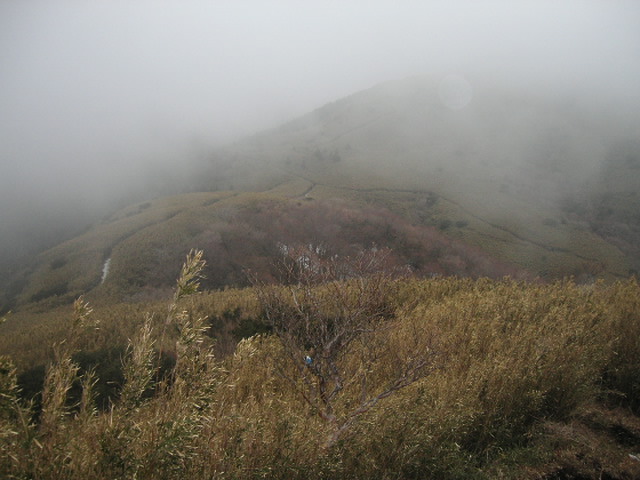 c0145582_16989.jpg