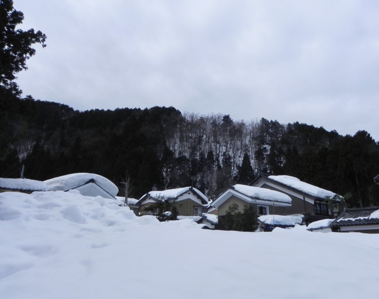 c0144185_16372648.jpg