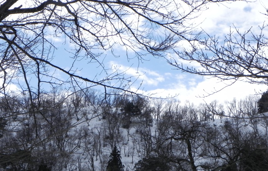 c0144185_17134483.jpg