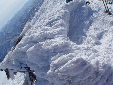 c0018489_0451972.jpg
