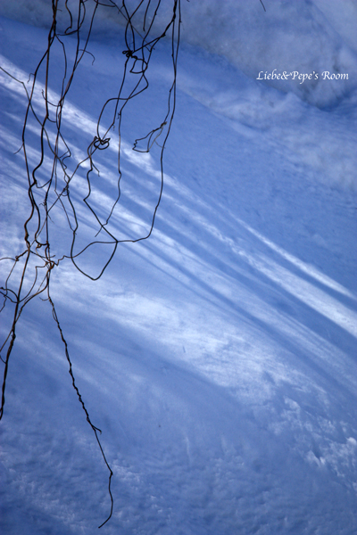 f0001895_14551589.jpg
