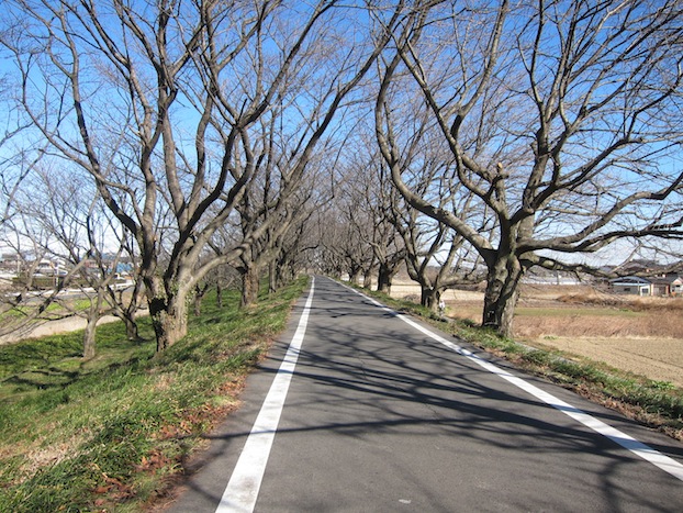 a0141498_21262752.jpg