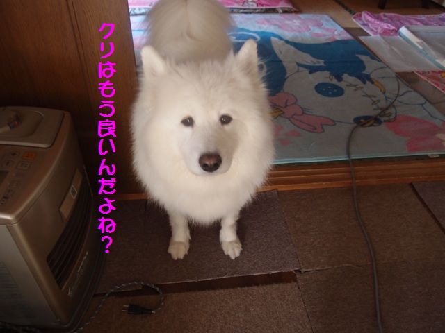 e0018604_1345770.jpg