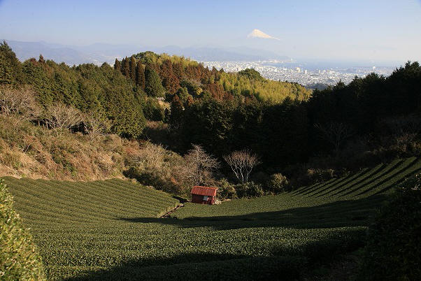 a0188405_8184866.jpg