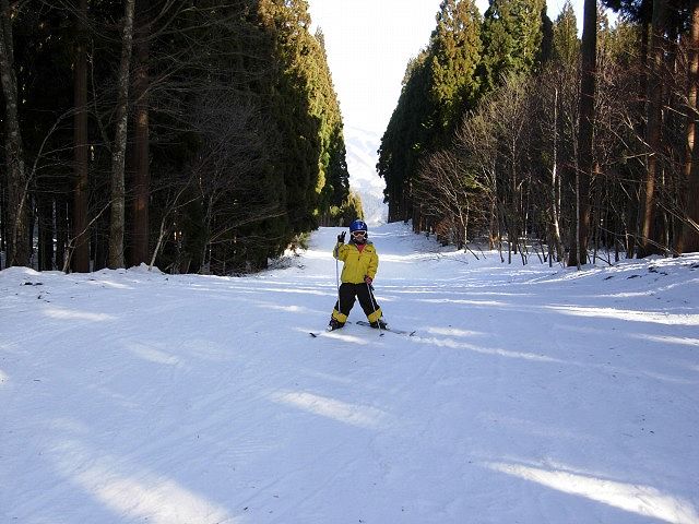 b0187505_1716492.jpg