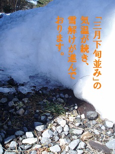 b0200310_13255341.jpg