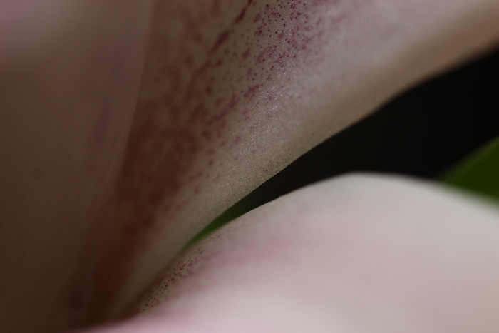 b0165522_1224674.jpg