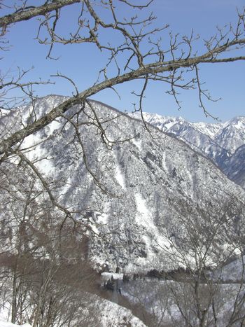 c0152123_2145458.jpg