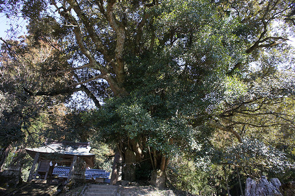 f0007926_11574699.jpg