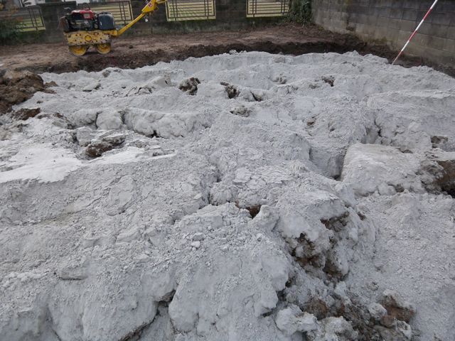 e0069646_233032.jpg