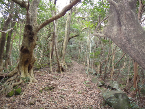 c0179351_1732727.jpg