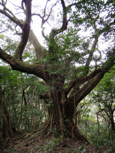 c0179351_17333064.jpg
