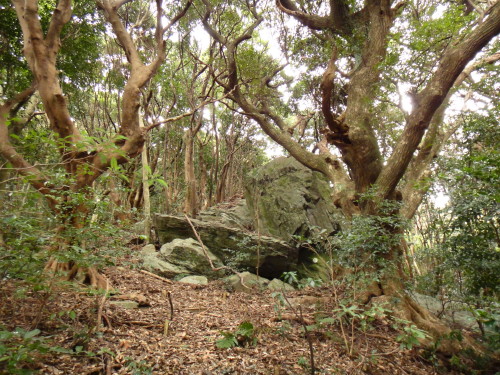 c0179351_1734713.jpg