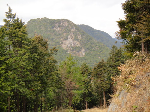 c0179351_17365576.jpg