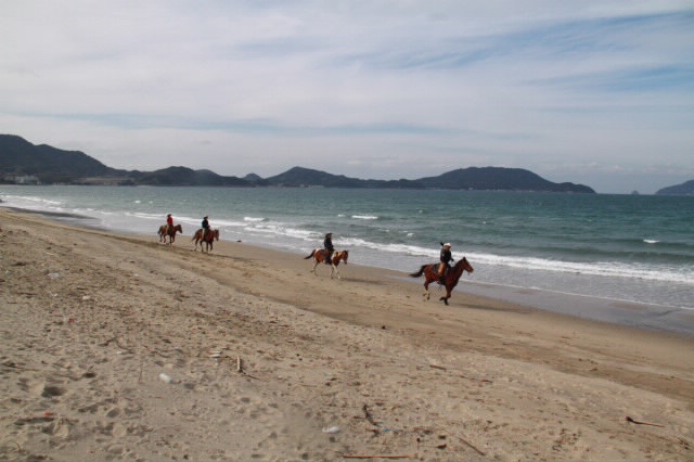 f0198253_0175561.jpg