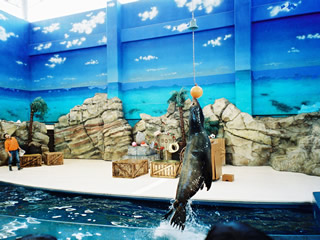 b0054956_15584220.jpg