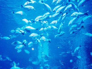 b0054956_23532888.jpg