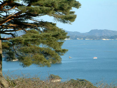 c0050264_11573063.jpg