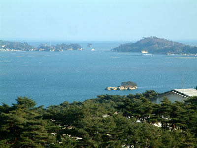 c0050264_1158863.jpg
