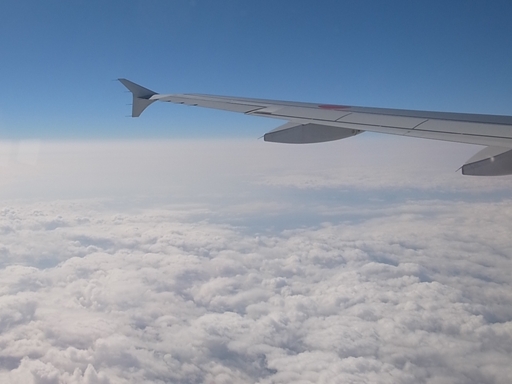 b0183374_212878.jpg