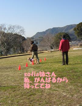 c0210375_1152584.jpg