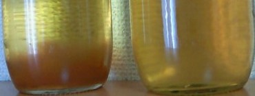 e0050579_1334304.jpg