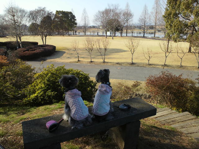 f0155381_22291054.jpg