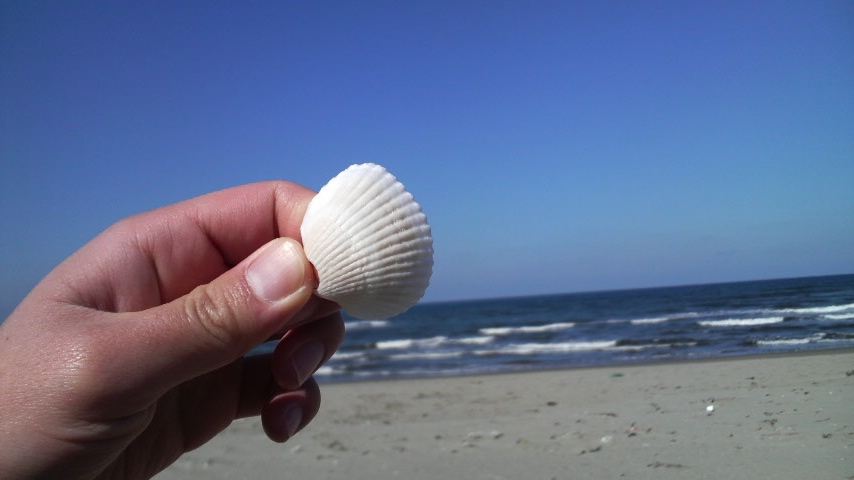 f0232181_8543823.jpg