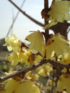 a0064291_1544490.jpg