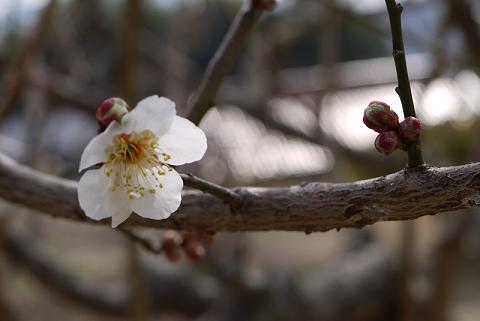 f0222692_137882.jpg