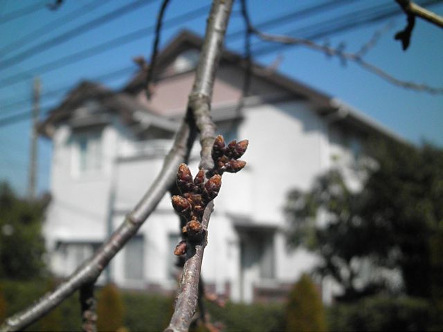 f0130894_22305888.jpg