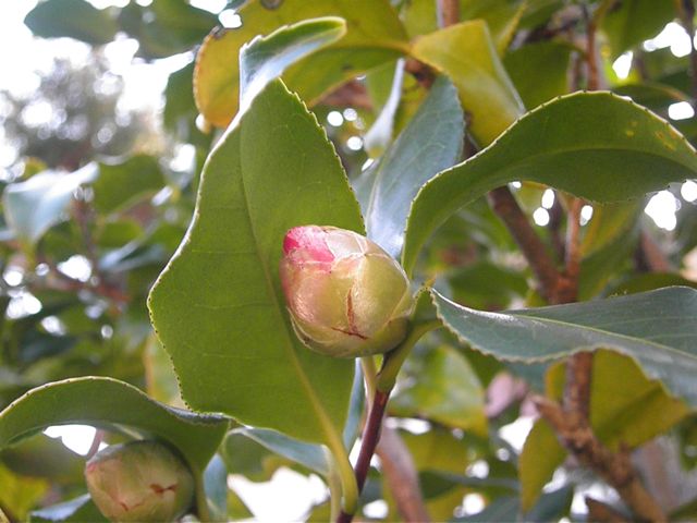 f0130894_22312548.jpg