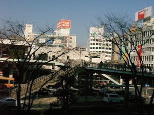 d0156797_656286.jpg