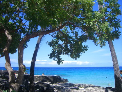 c0172698_2219397.jpg