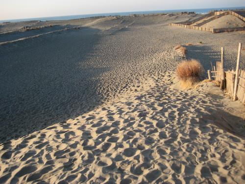 f0013998_18155136.jpg