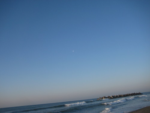 f0013998_18201886.jpg