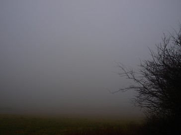 b0110999_20412728.jpg