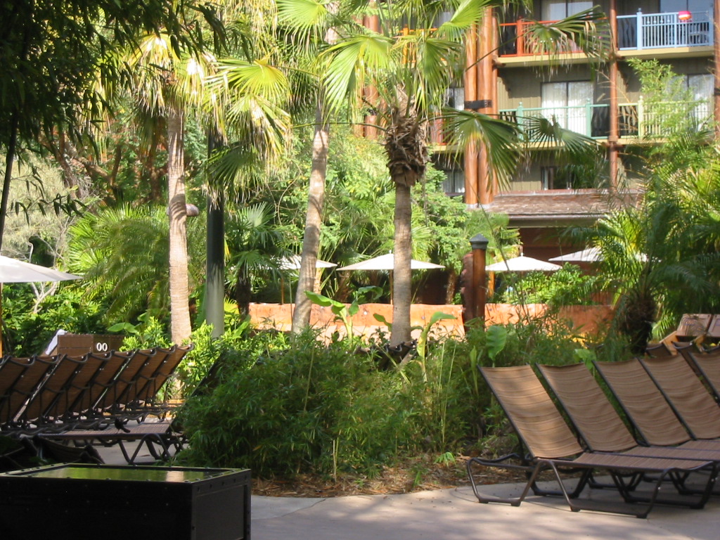 a0161409_1474211.jpg