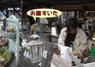 c0190010_195789.jpg