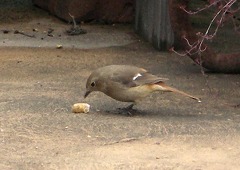 c0190010_200508.jpg