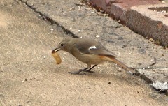 c0190010_200811.jpg