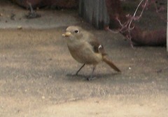 c0190010_201253.jpg