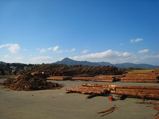 e0002820_21182564.jpg