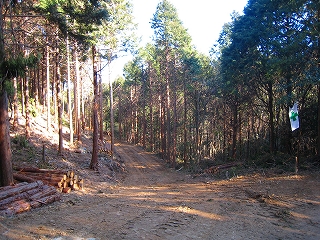e0002820_2120217.jpg
