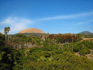 e0002820_21265484.jpg