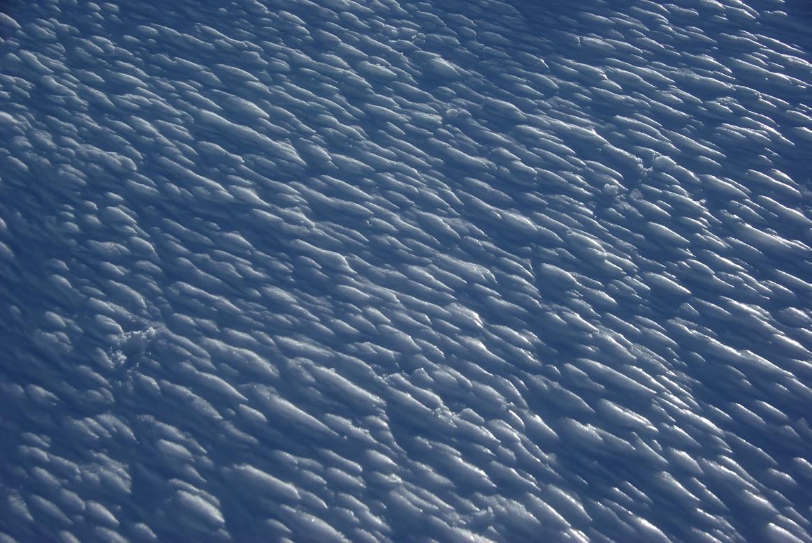 b0062024_548430.jpg